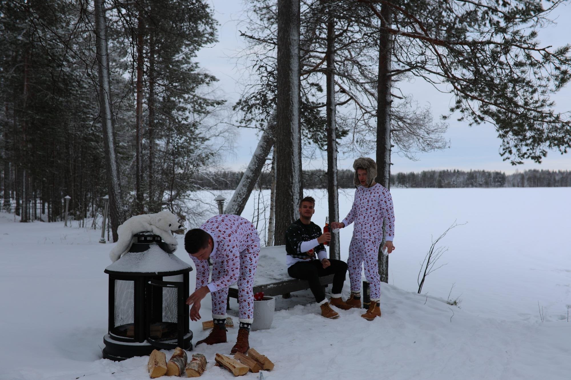 was zu weihnachten wünschen - Illustration