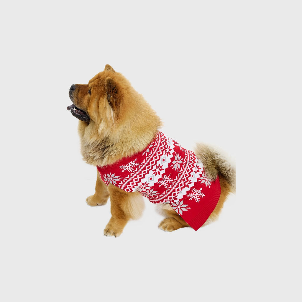 Der süße Hunde-Weihnachtspullover