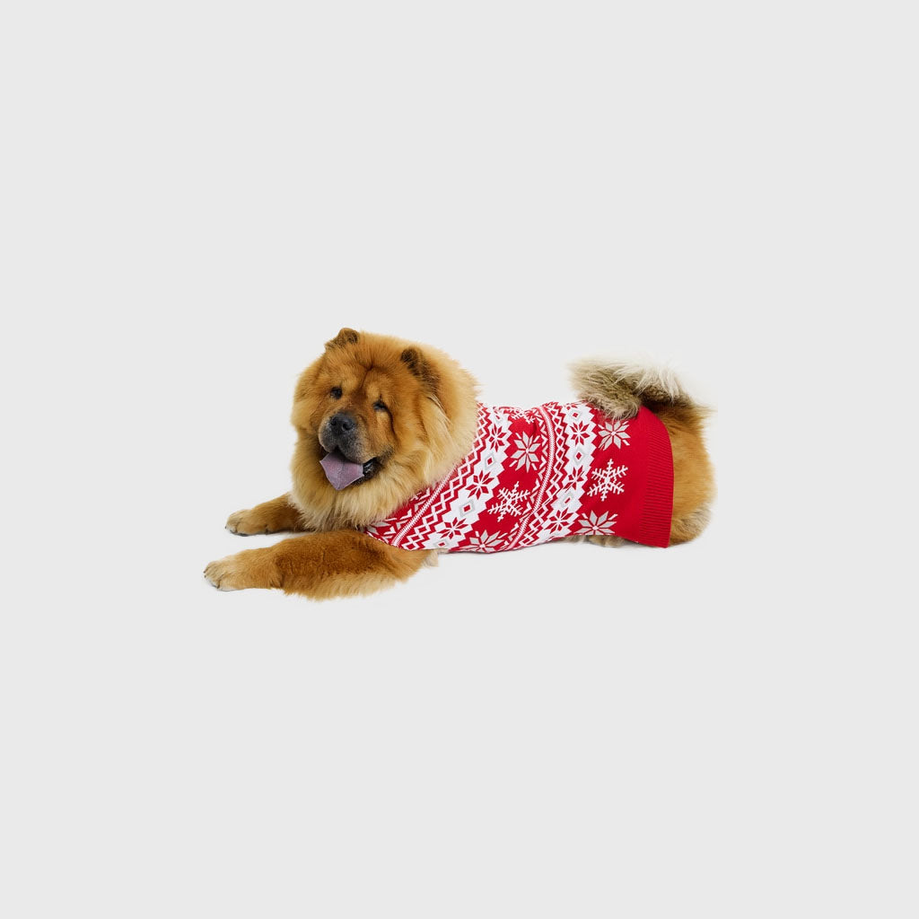 Cute Hunde-Weihnachtspullover